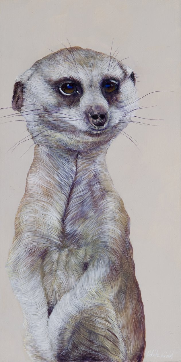 Meerkat 1, 2009 (akryl na drewnie) autorstwa Odile Kidd