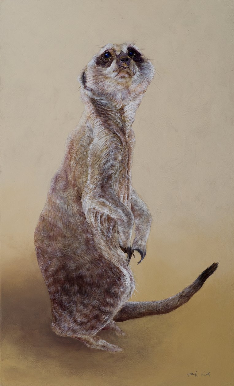 Meerkat 2, 2010 (akryl na drewnie) autorstwa Odile Kidd