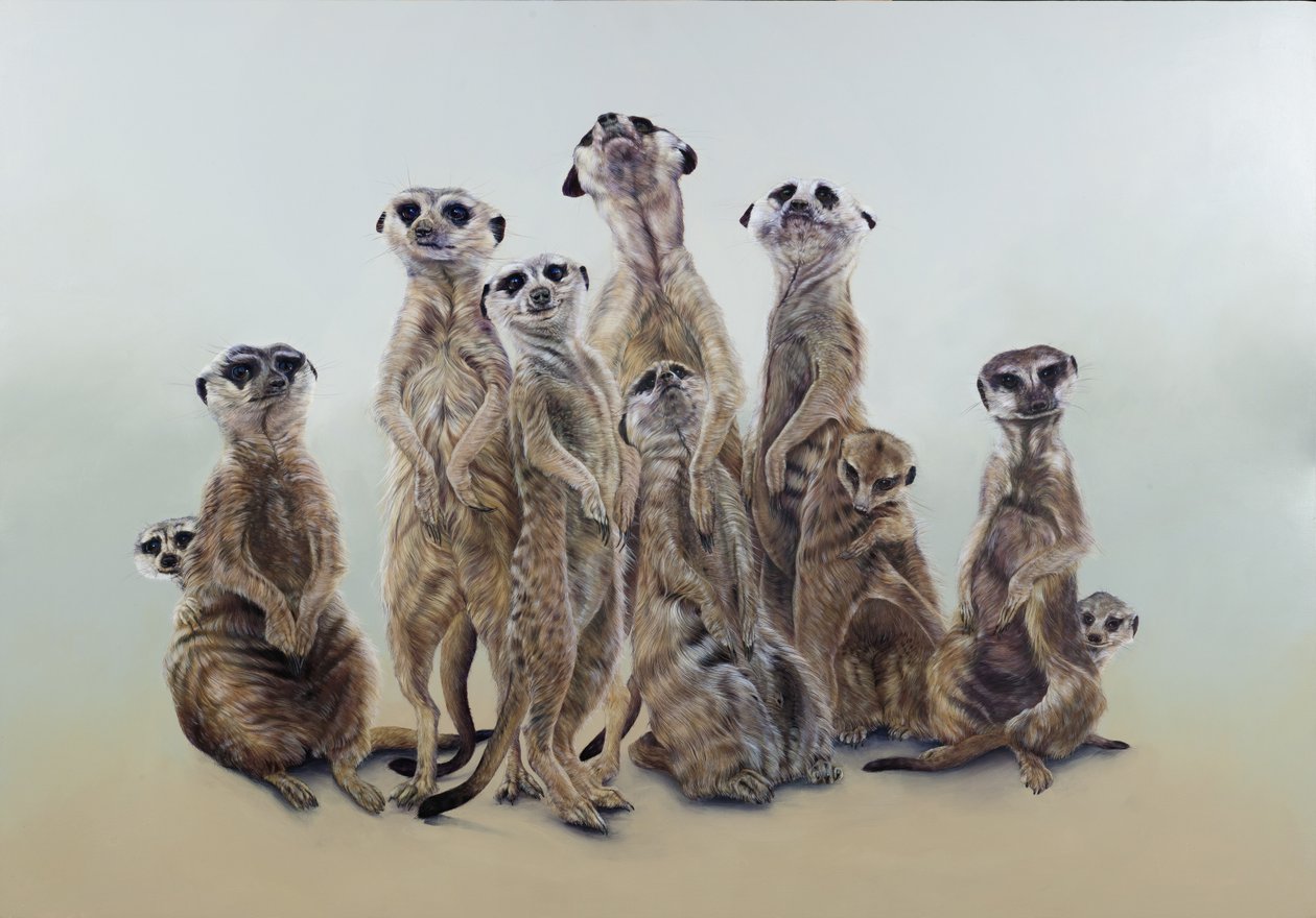 Meerkat mob, sun angels, 2013 (akryl na drewnie) autorstwa Odile Kidd