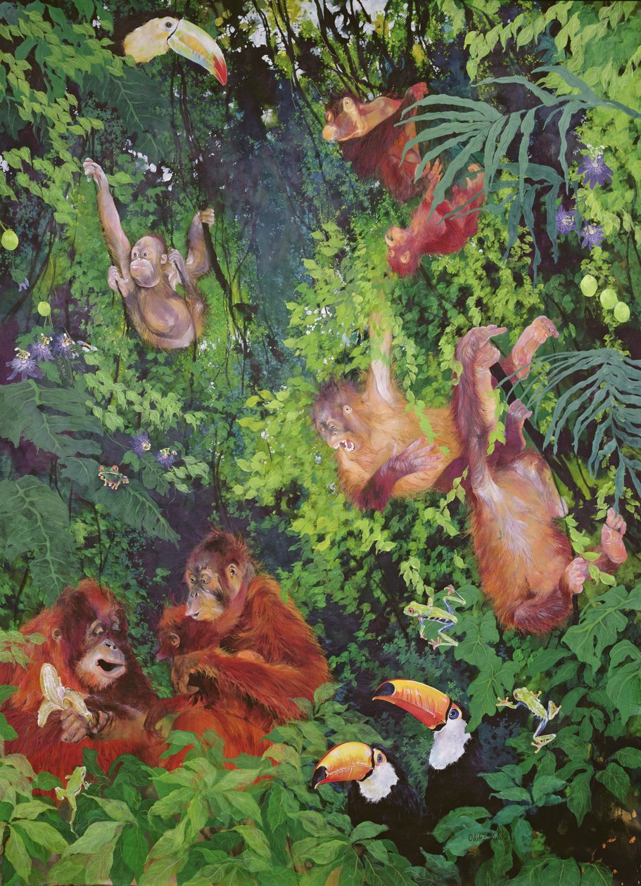 Orangutany i tukany autorstwa Odile Kidd