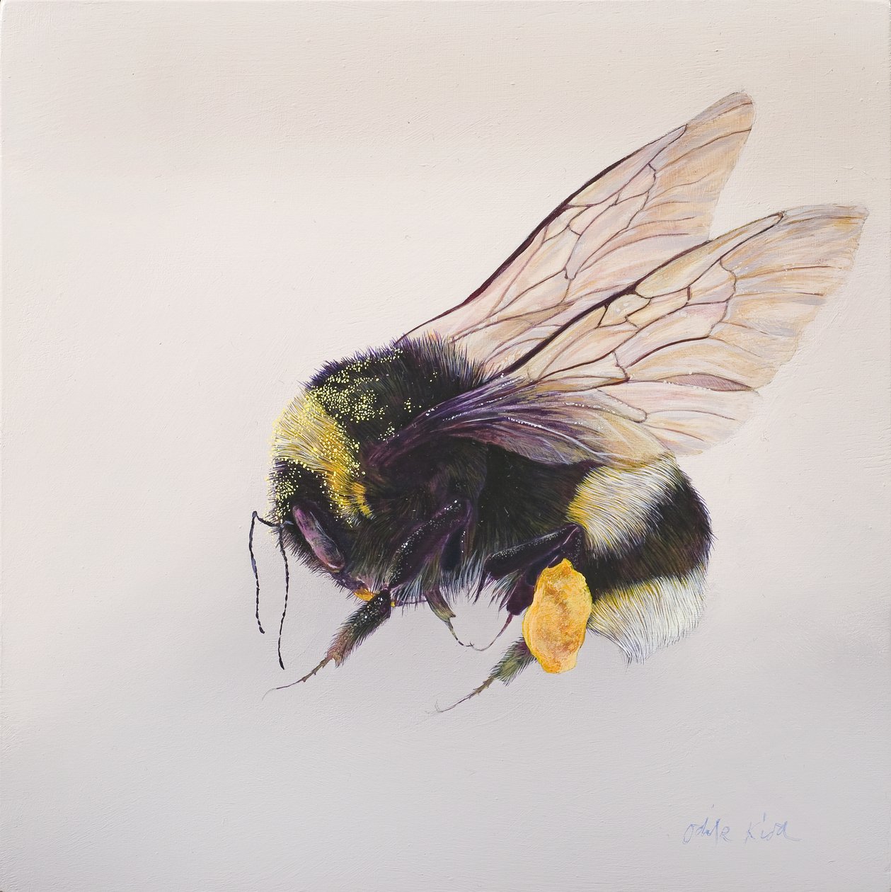 Woreczek na pyłki 2, 2011 (akryl na drewnie) autorstwa Odile Kidd