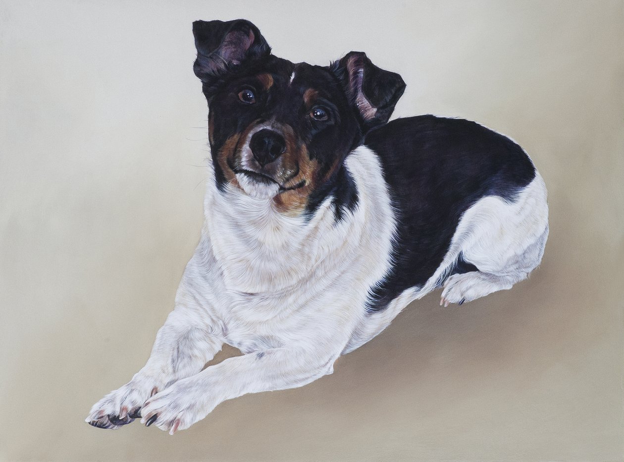 Spike, 2012 (akryl na drewnie) autorstwa Odile Kidd