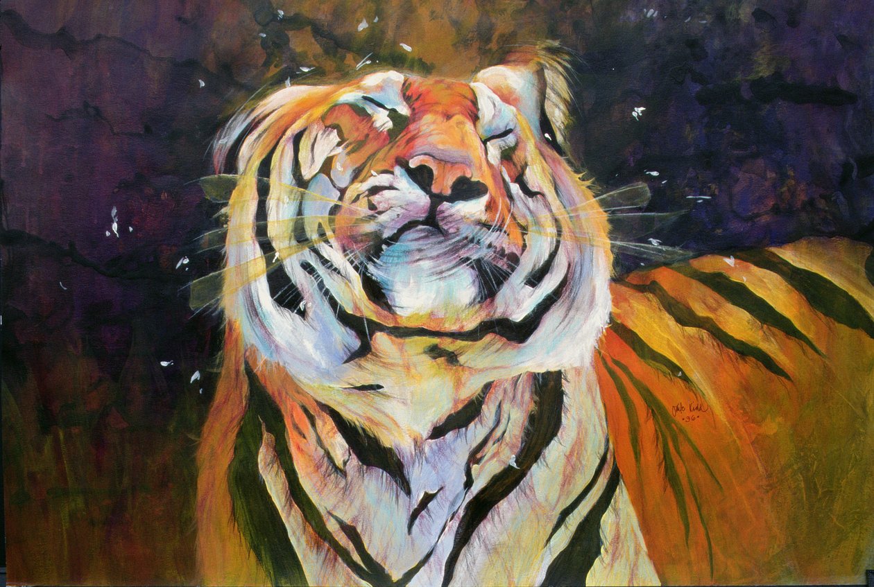 Tiger (Shaking Head) 1996 (tusz, akryl i ołówek na papierze) autorstwa Odile Kidd