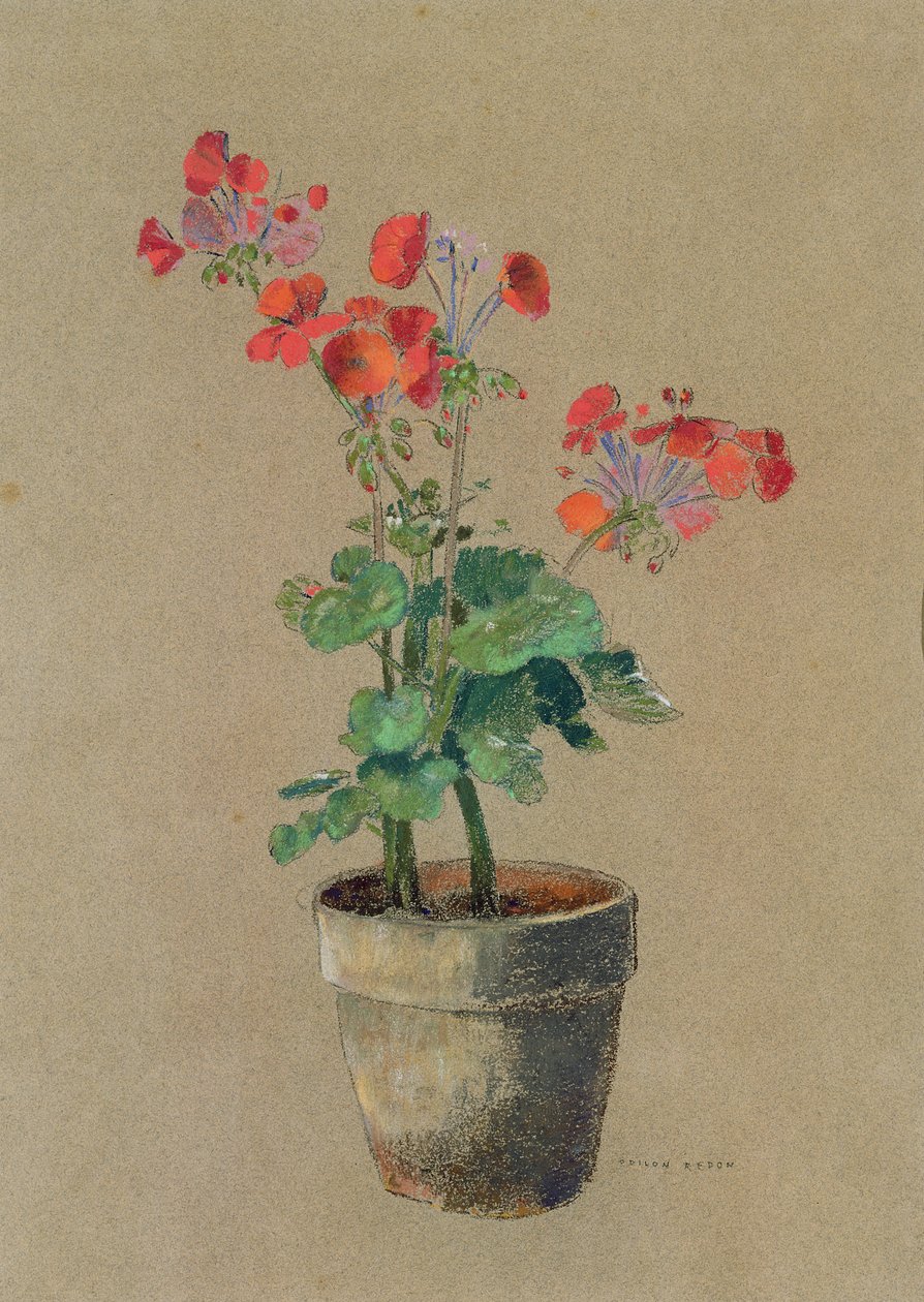 Pelargonie w doniczce (pastelowe) autorstwa Odilon Redon