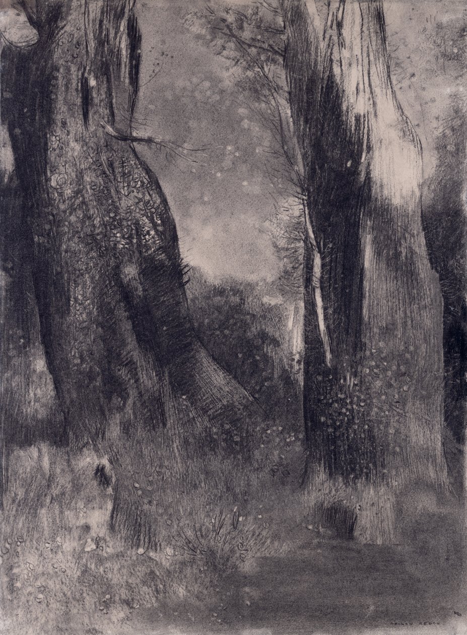 Drzewa, lata 90. XIX wieku (węgiel na papierze) autorstwa Odilon Redon