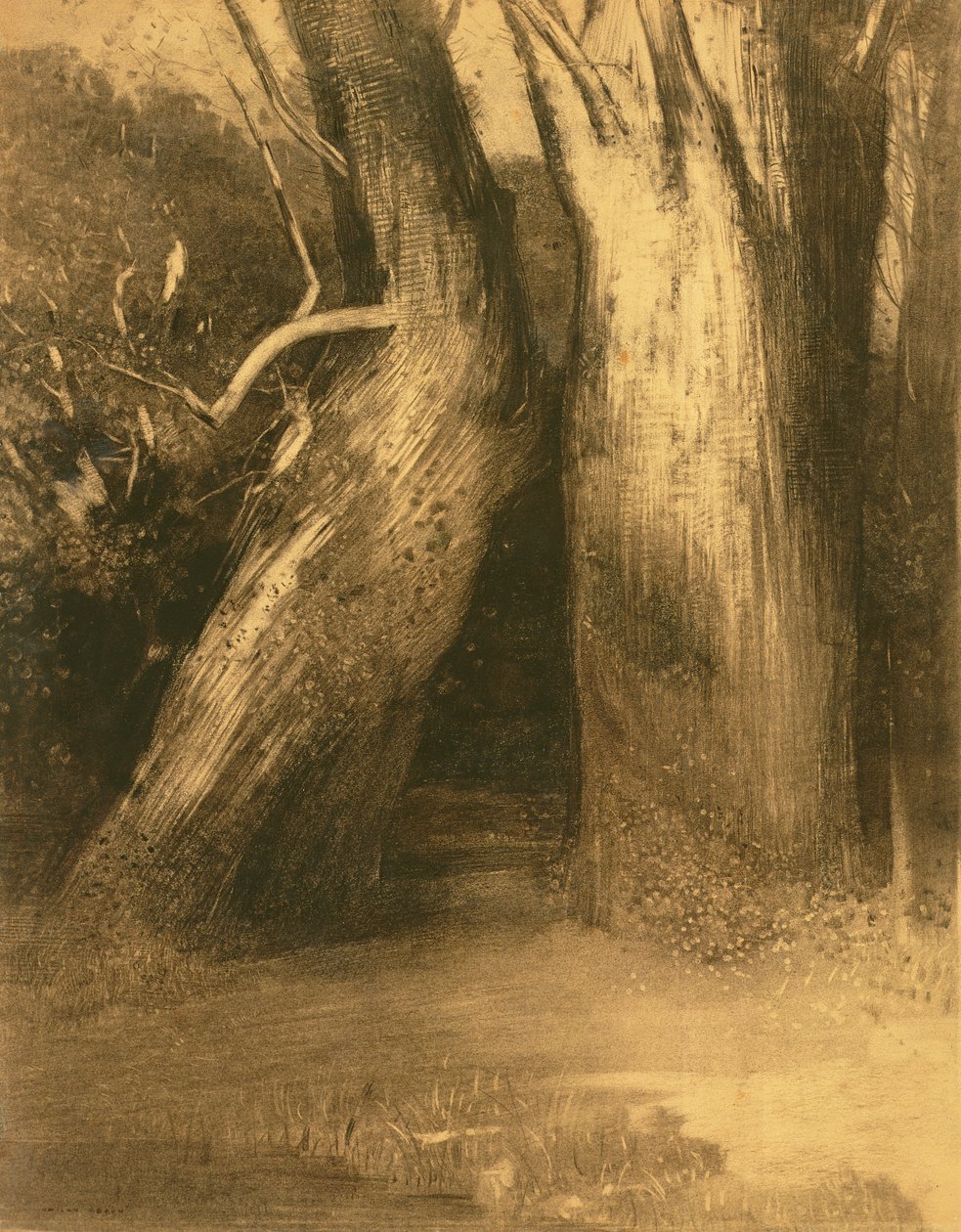 Dwa drzewa, c.1875 (węgiel na papierze) autorstwa Odilon Redon