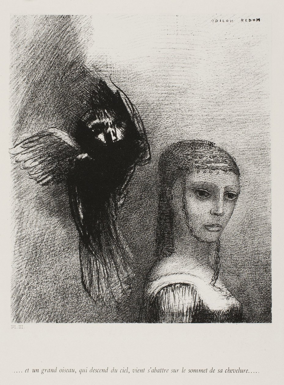 A duży ptak schodzący z nieba rzuca się w najwyższy punkt jej włosów, płyta 3 z 10, 1888 autorstwa Odilon Redon