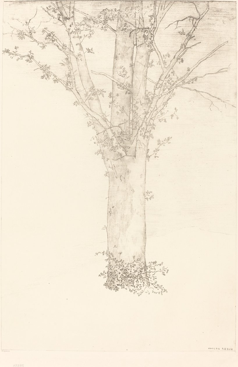 Drzewo autorstwa Odilon Redon