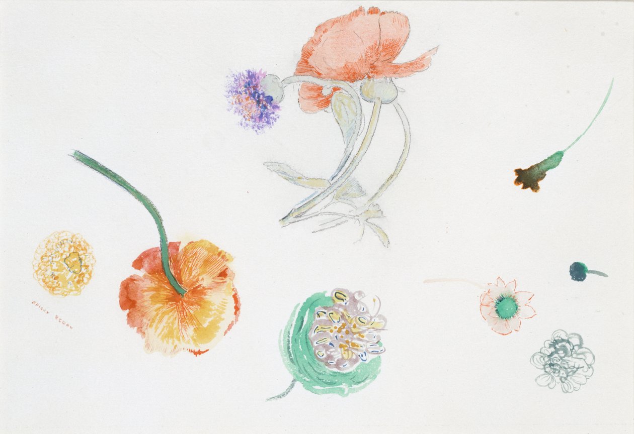 Szkic kwiatów autorstwa Odilon Redon