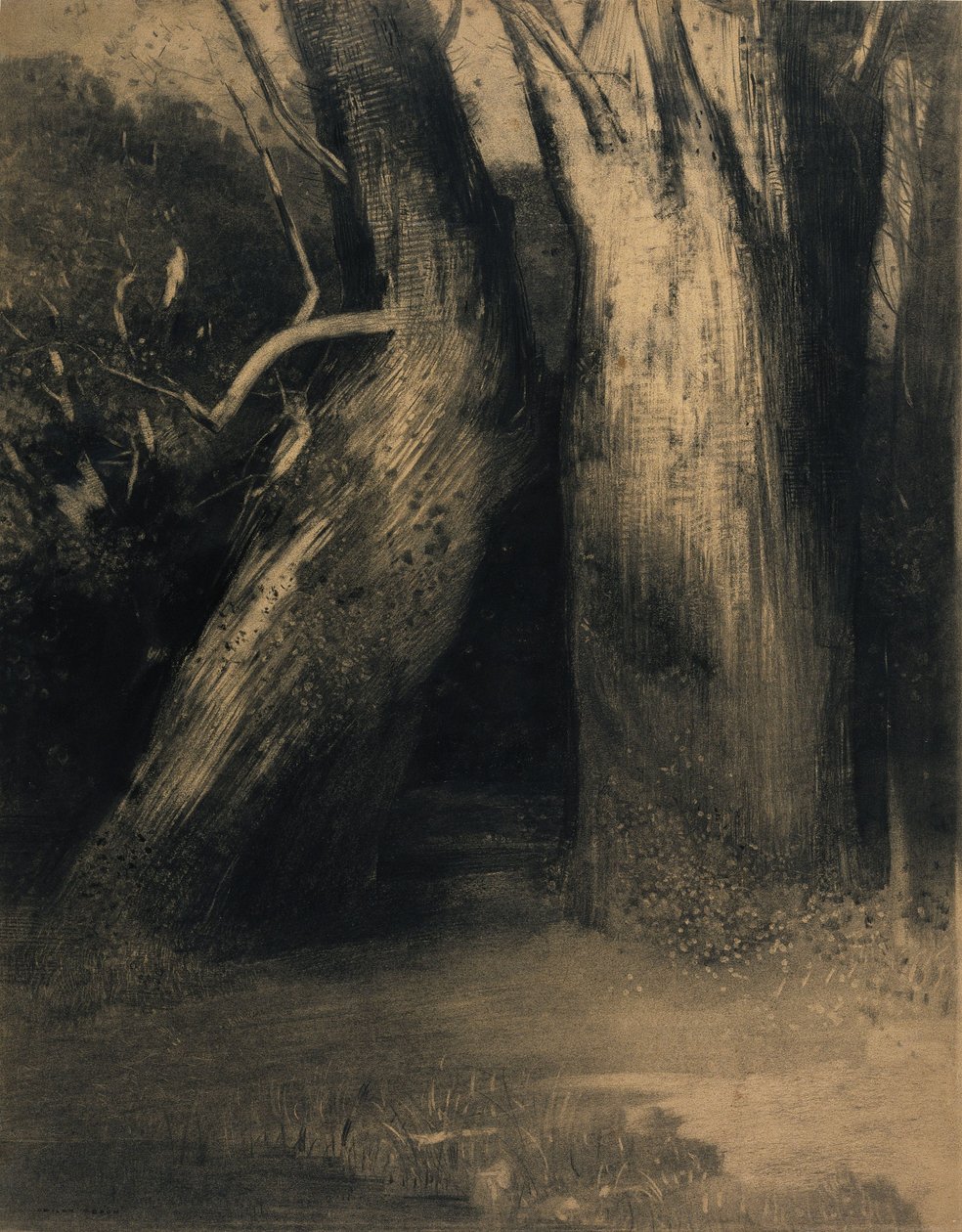 Dwa drzewa autorstwa Odilon Redon