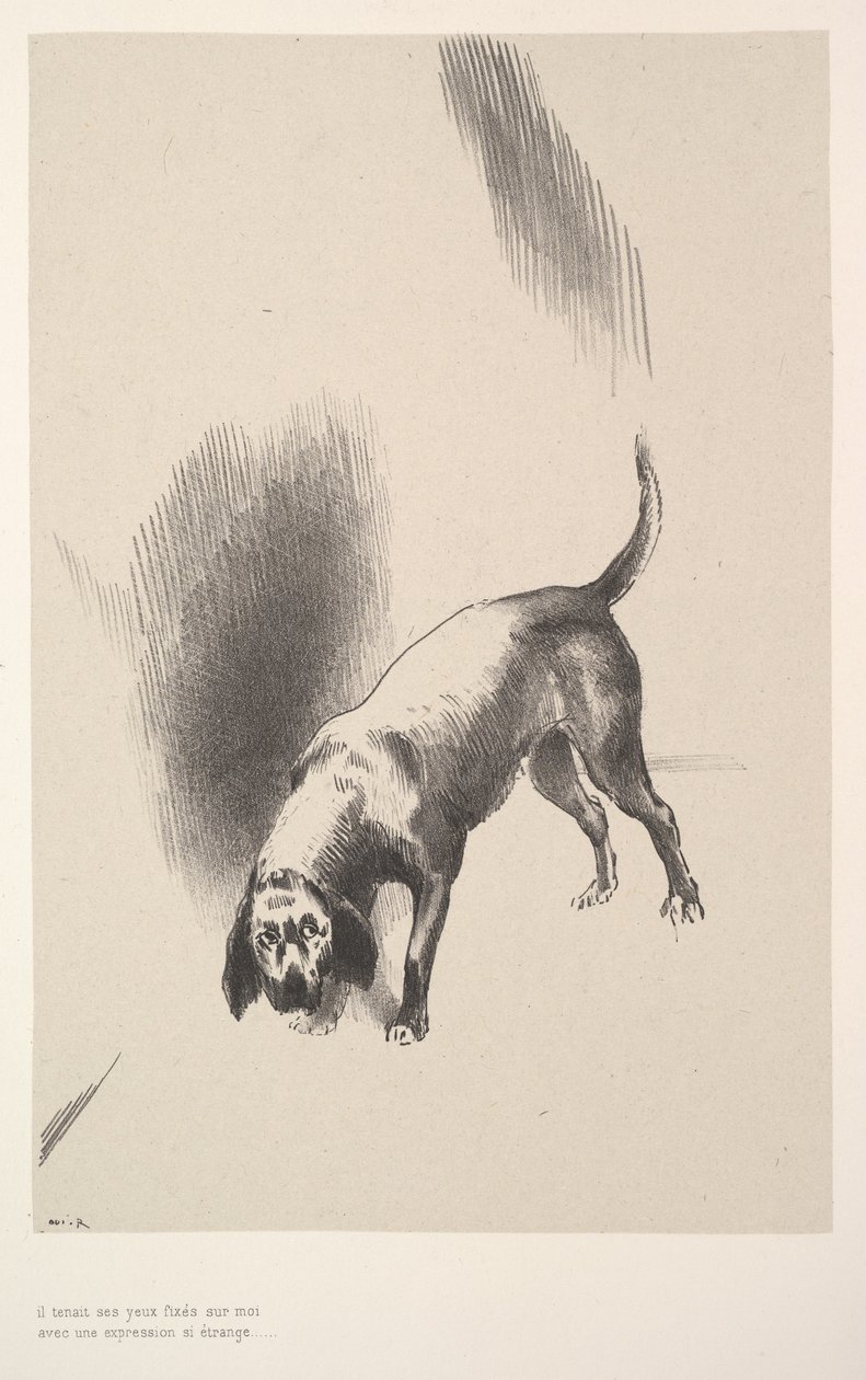 Wbił we mnie wzrok z tak dziwnym wyrazem twarzy, 1896. autorstwa Odilon Redon