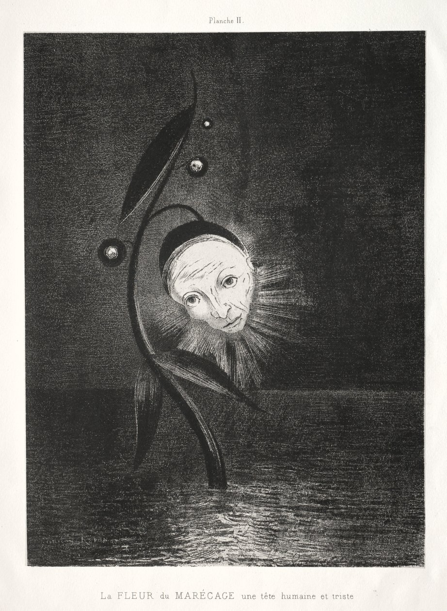 Hołd dla Goi: Kwiat bagienny, smutna ludzka głowa, 1885. autorstwa Odilon Redon