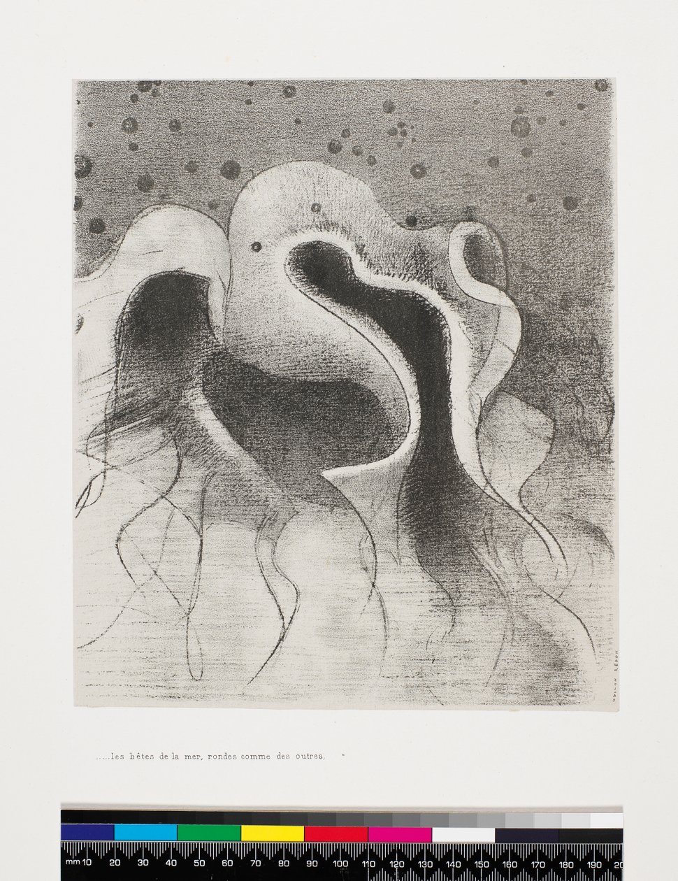 Bestie z Morza Okrągłe jak bukłaki, 1896 autorstwa Odilon Redon