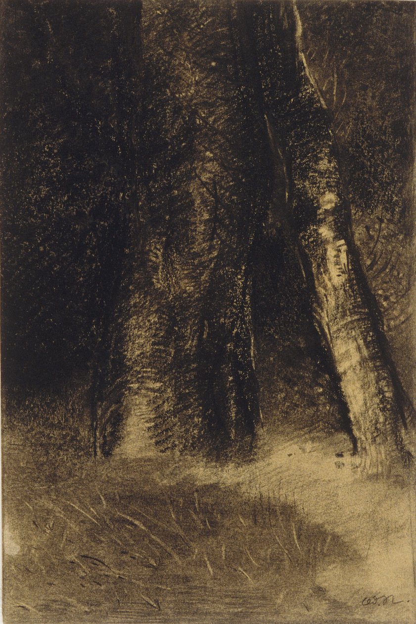 Szkic drzew autorstwa Odilon Redon