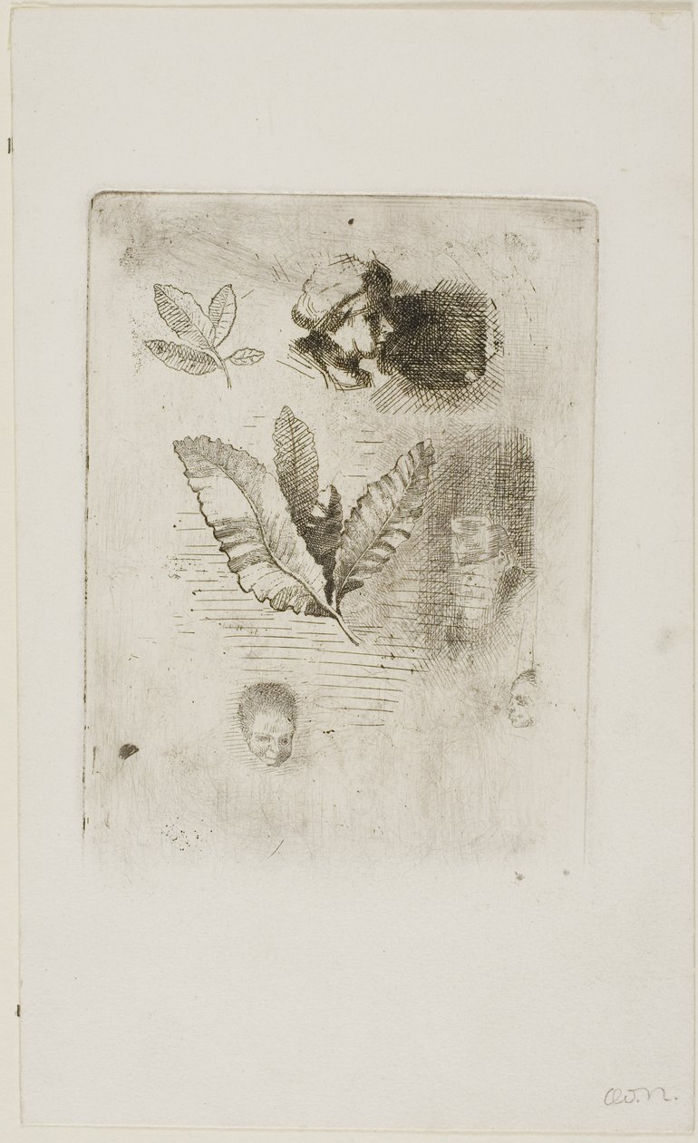 Szkice autorstwa Odilon Redon