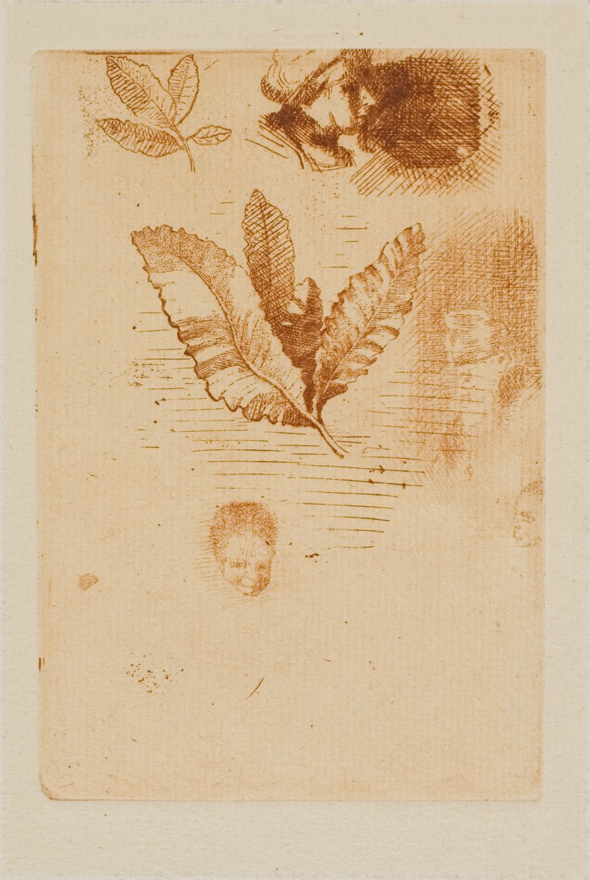 Szkice autorstwa Odilon Redon