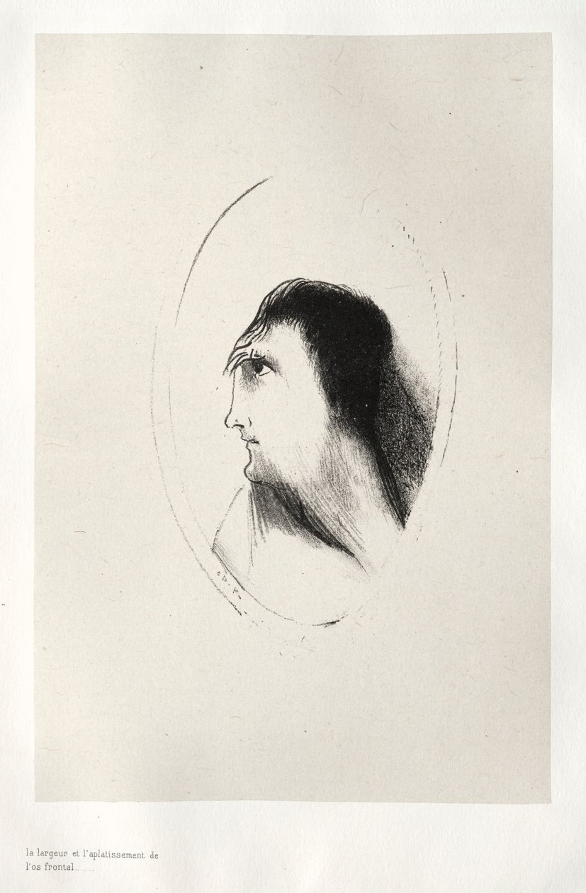 Nawiedzony dom: szerokość i płaskość kości czołowej, 1896. autorstwa Odilon Redon