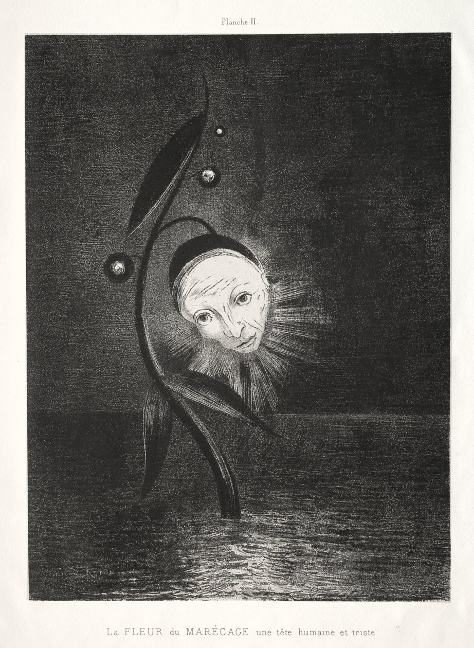 Kwiat bagienny, smutna ludzka głowa autorstwa Odilon Redon
