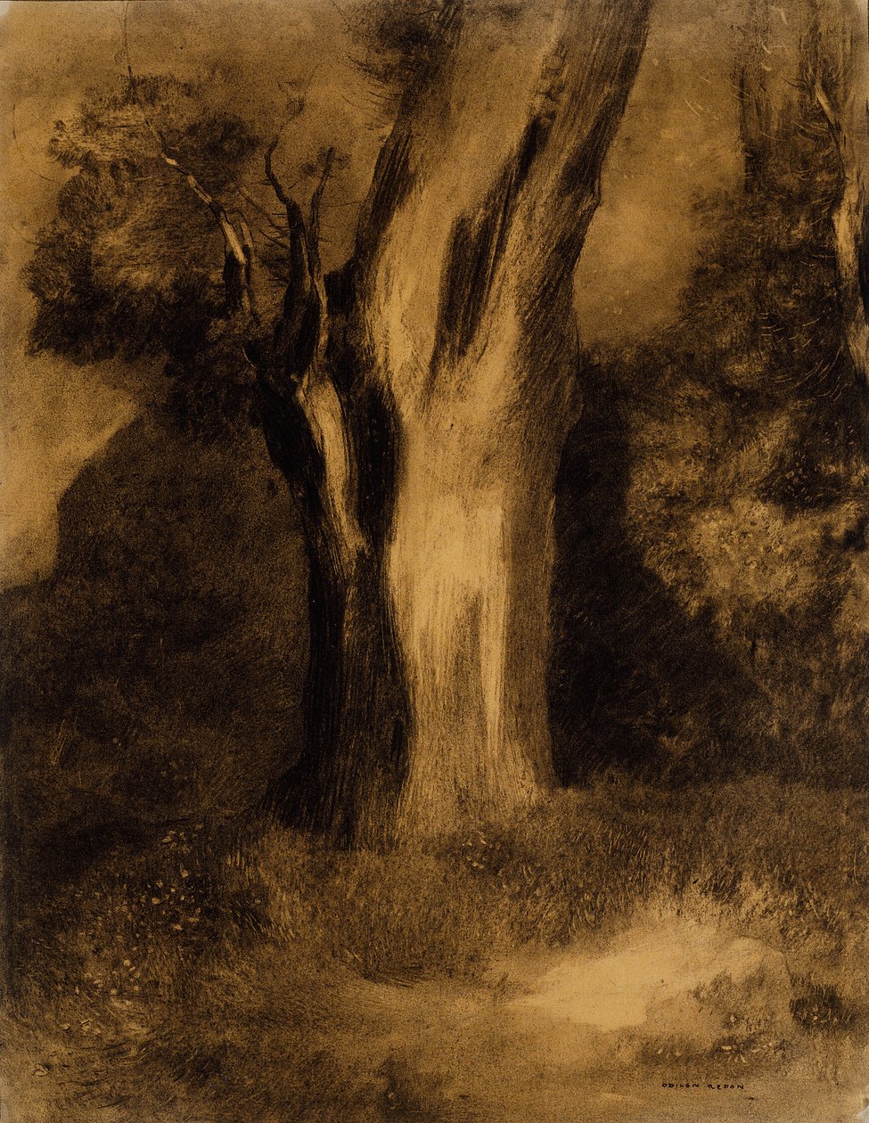 Drzewo autorstwa Odilon Redon