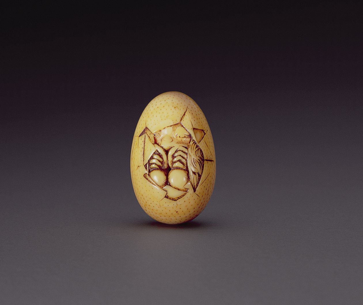 Netsuke przedstawiający pisklę wyrywające się z muszli, ok. 1760-80 autorstwa Ogasawara Issai