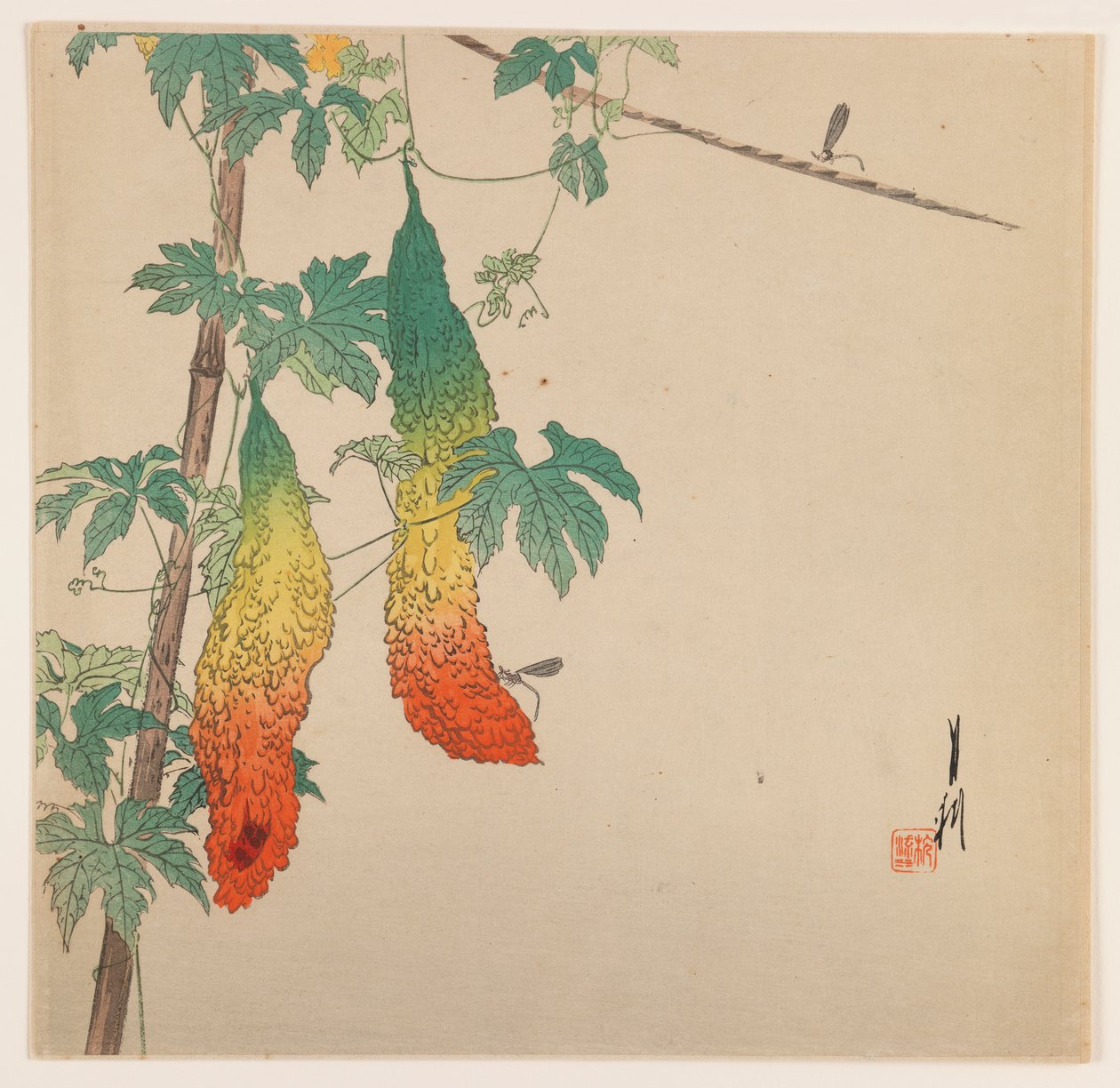 Tykwa i Osa, ok. 1890-1910 (kolorowy druk drzeworytu) autorstwa Ogata Gekko