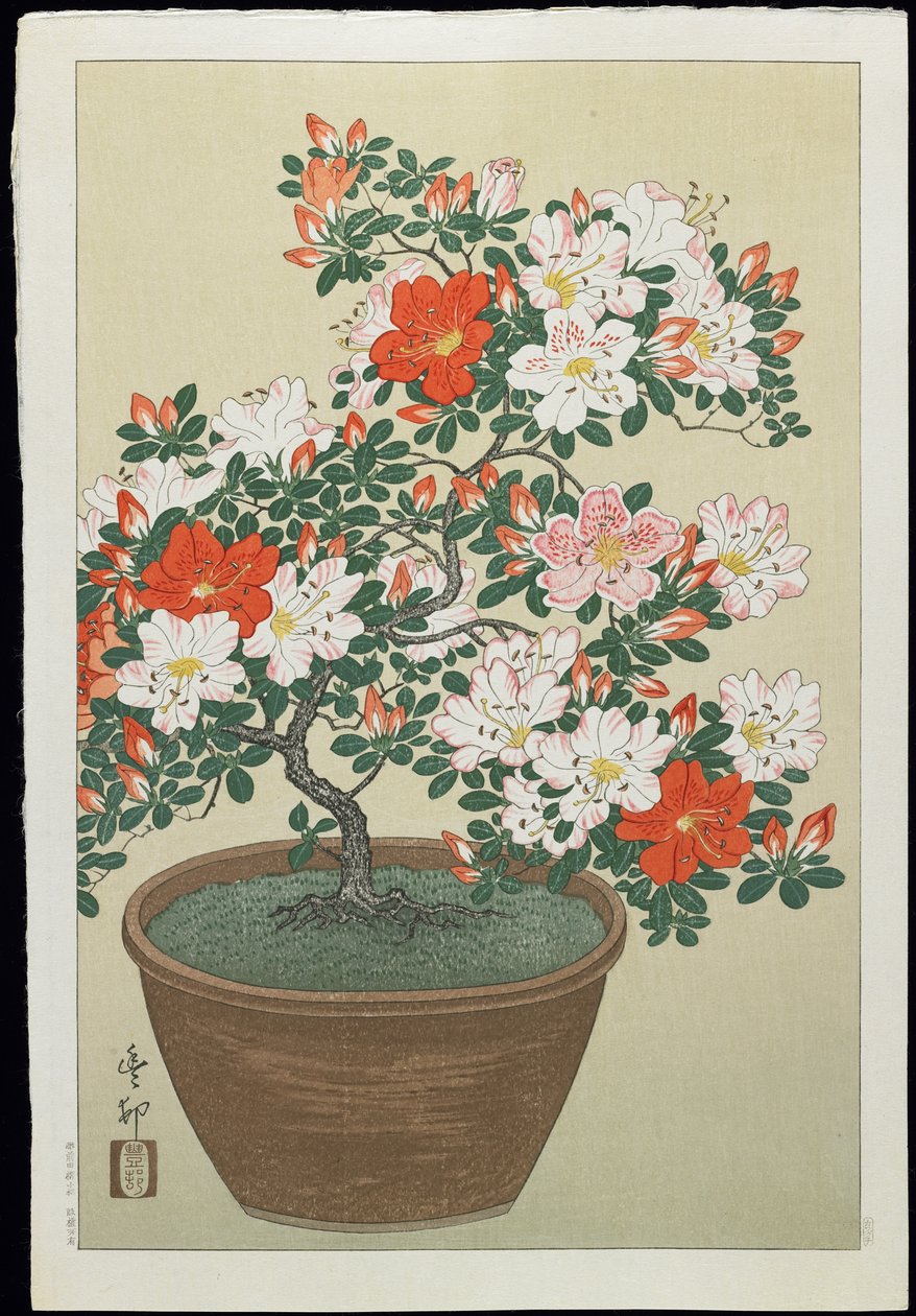Azalia w doniczce, lata 30. XX w. autorstwa Ohara Koson