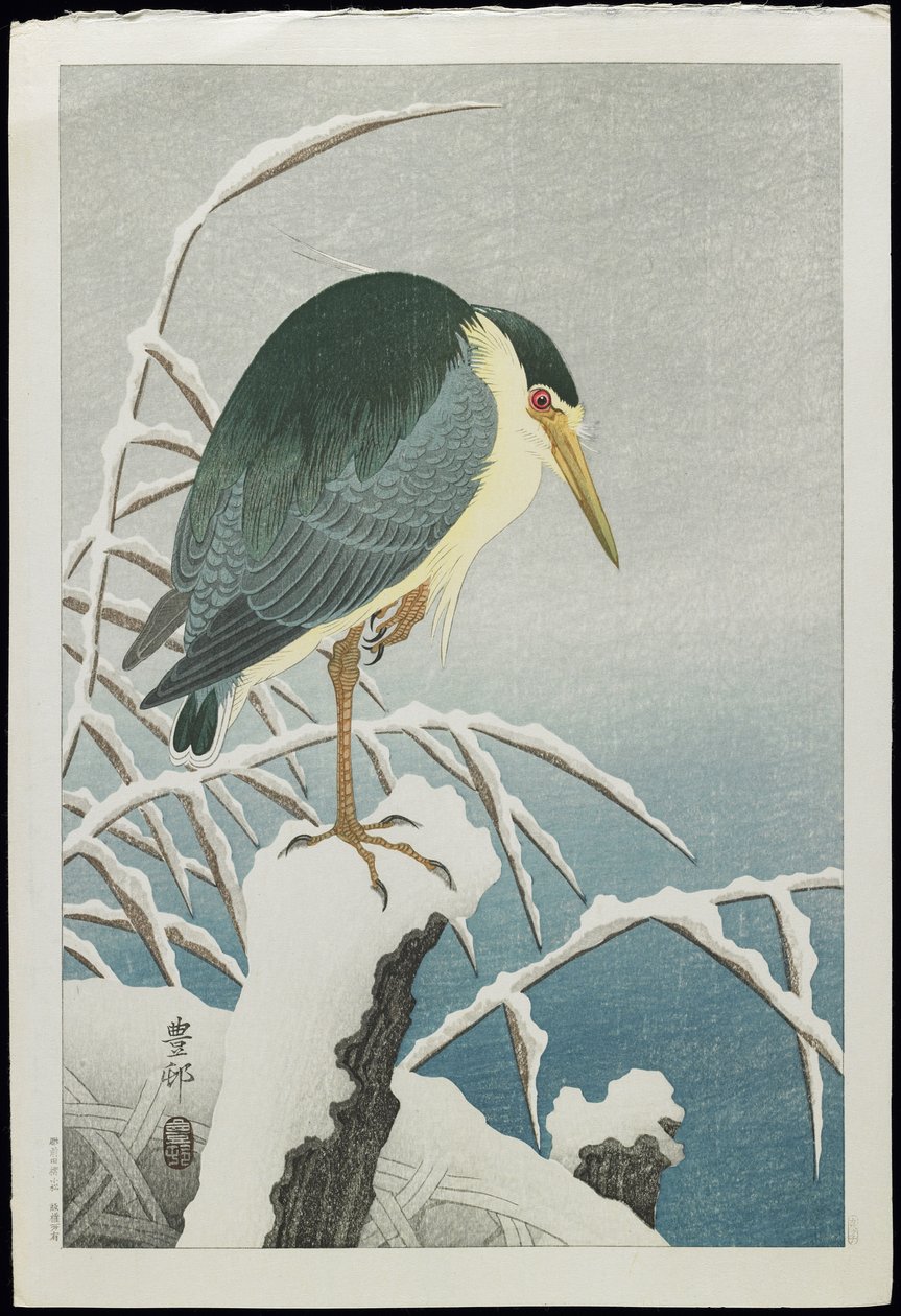Ślepowron koronowany na śniegu, lata 30. XX w. autorstwa Ohara Koson
