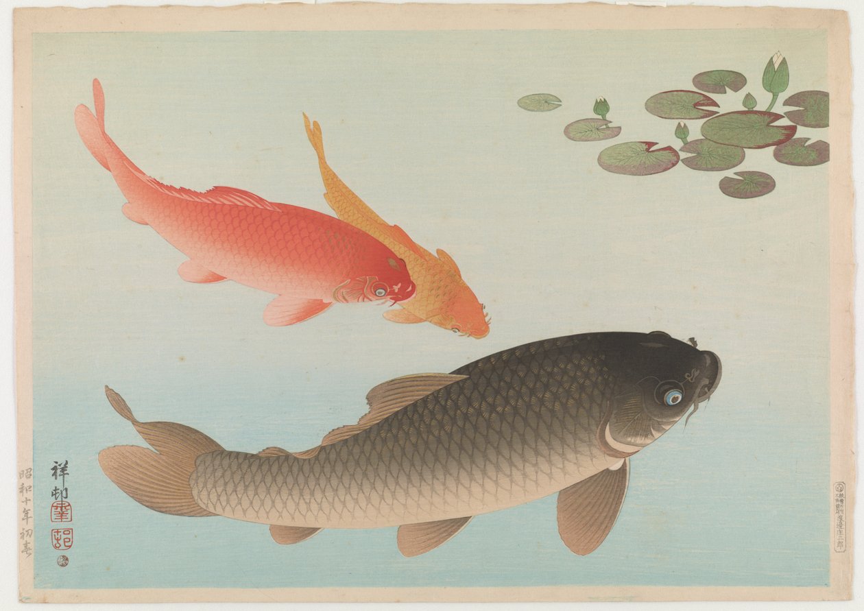 Karp, 1935 (kolorowa odbitka drzeworytnicza) autorstwa Ohara Koson