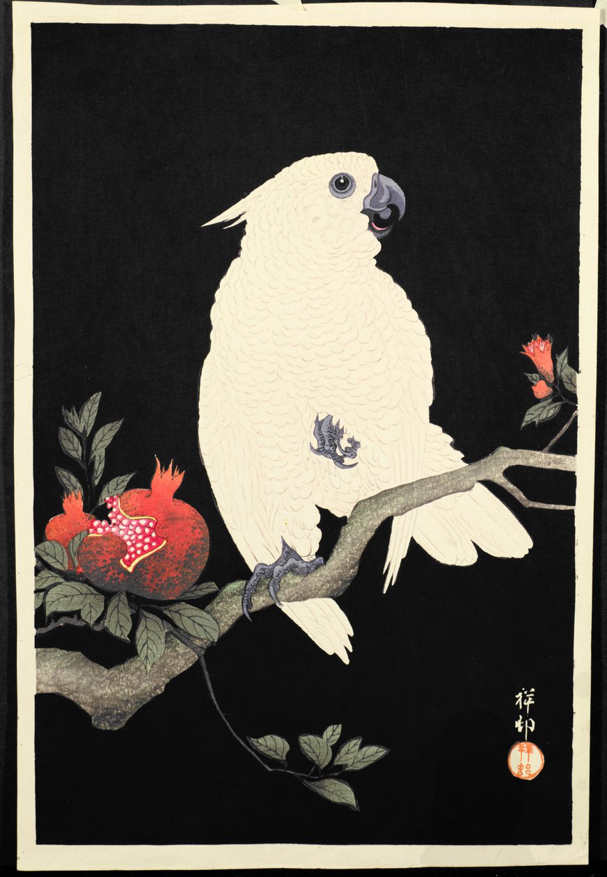 Kakadu i granat (kolorowy drzeworyt) autorstwa Ohara Koson
