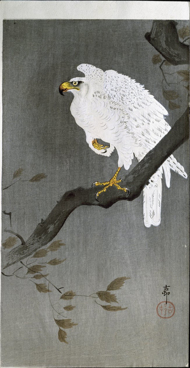 Sokół na gałęzi, 1907 autorstwa Ohara Koson