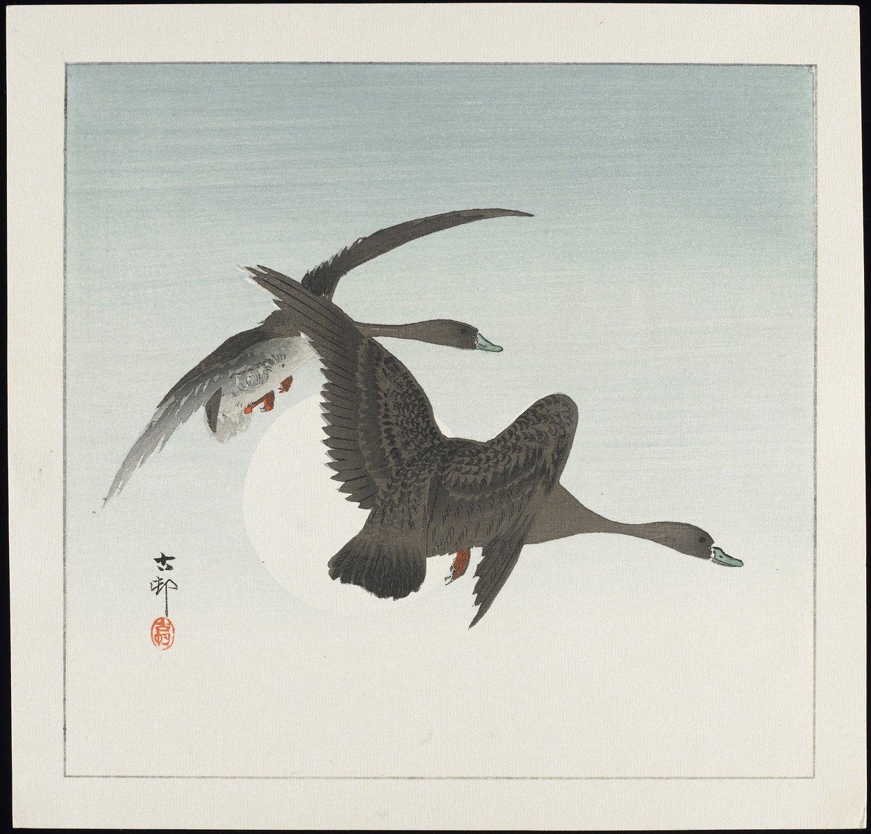 Gęsi w locie, przed rokiem 1912 autorstwa Ohara Koson