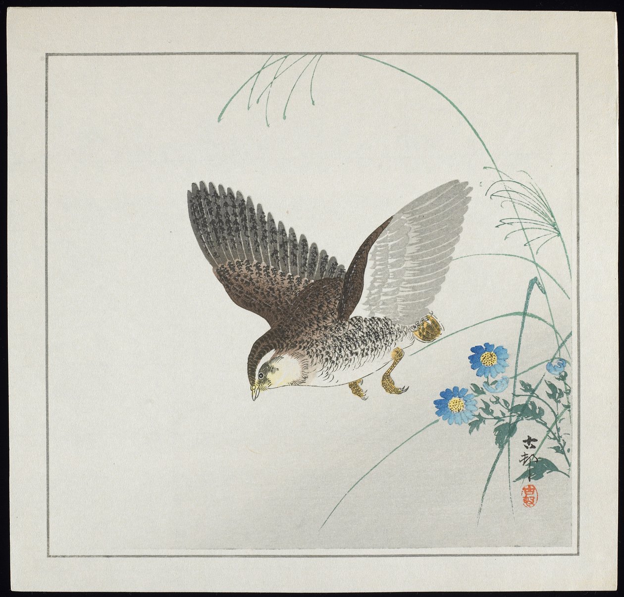 Przepiórka w locie, przed rokiem 1912 autorstwa Ohara Koson