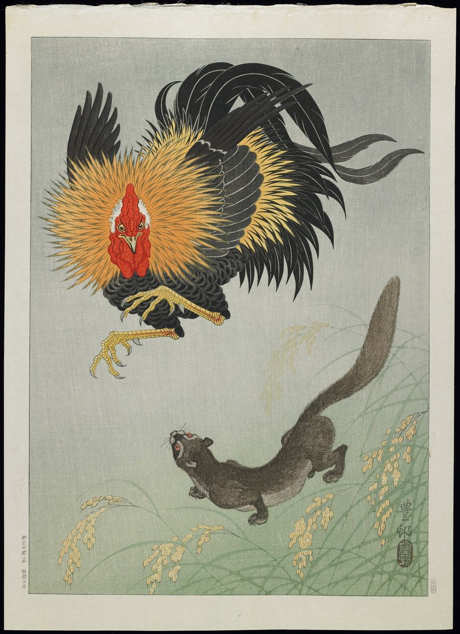 Kogut i Łasica, lata 30. XX w. autorstwa Ohara Koson