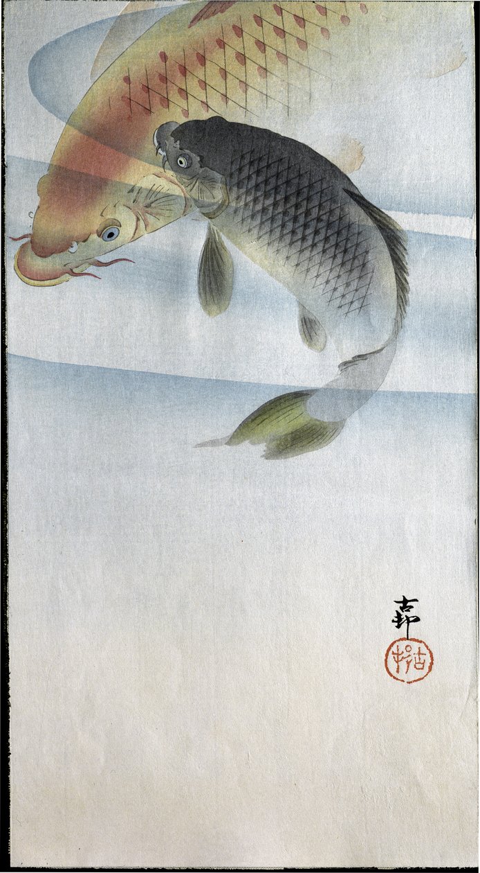 Dwa karpie w rzece, 1907 autorstwa Ohara Koson
