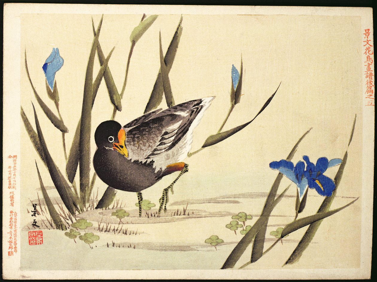 Wader wśród szuwarów (kolorowy drzeworyt) autorstwa Ohara Koson