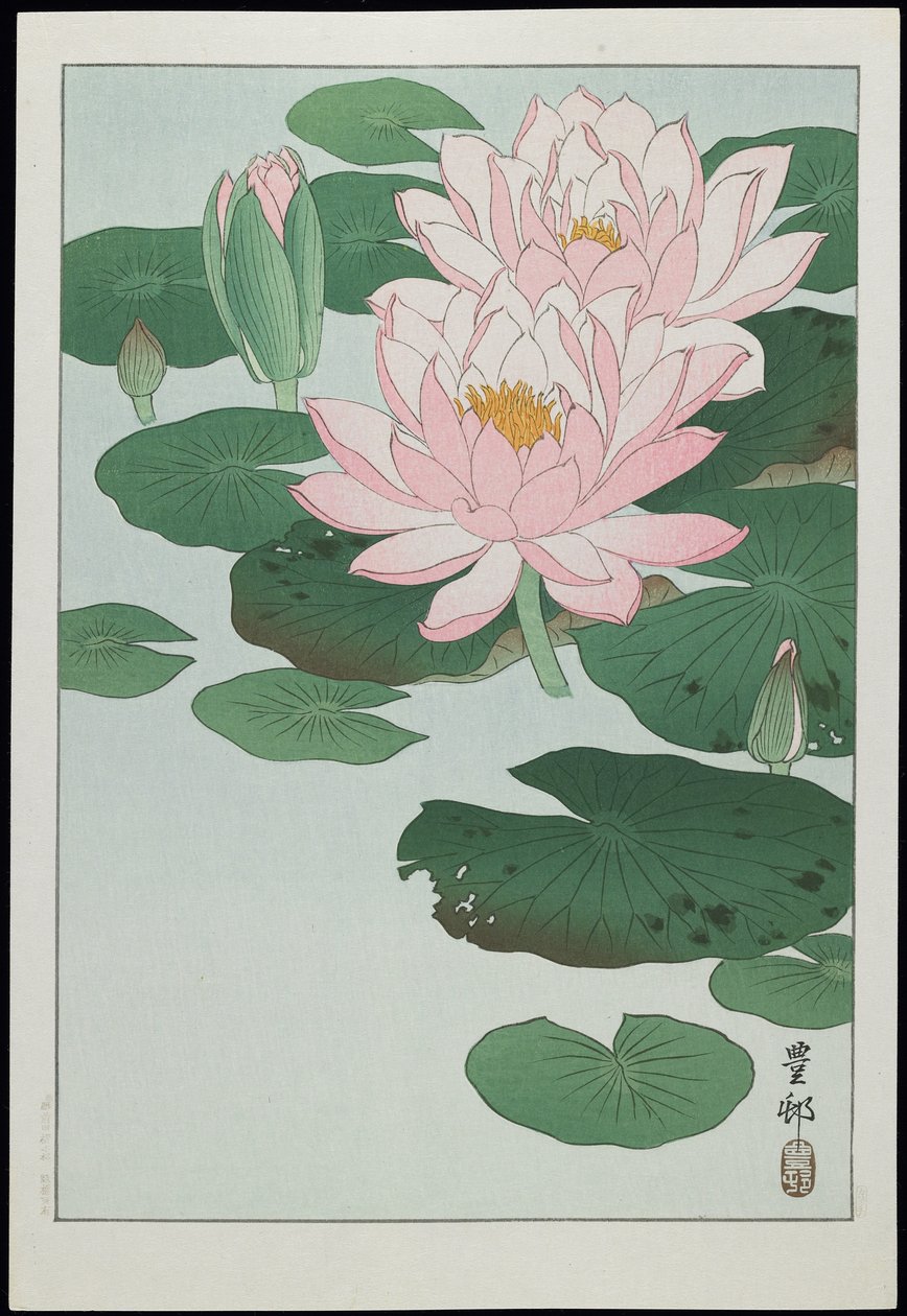 Lilia wodna, lata 30. XX w. autorstwa Ohara Koson