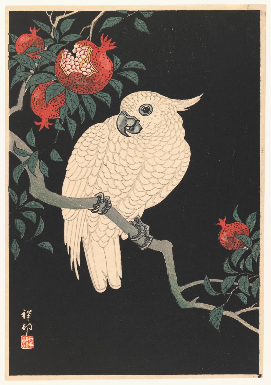 Biała papuga i granat, 1927-1989 (drzewodruk) autorstwa Ohara Koson