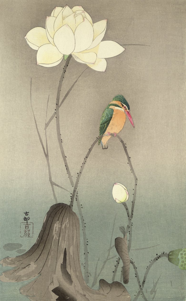 Zimorodek i lotos, ok. 1910, autorstwa Ohara Koson