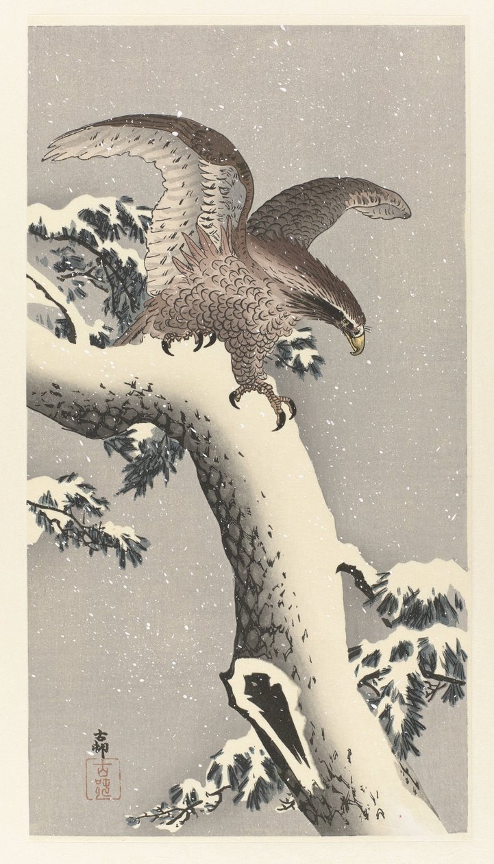 Orzeł na ośnieżonej sośnie autorstwa Ohara Koson