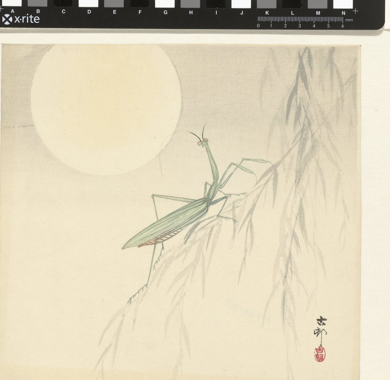 Modliszka autorstwa Ohara Koson