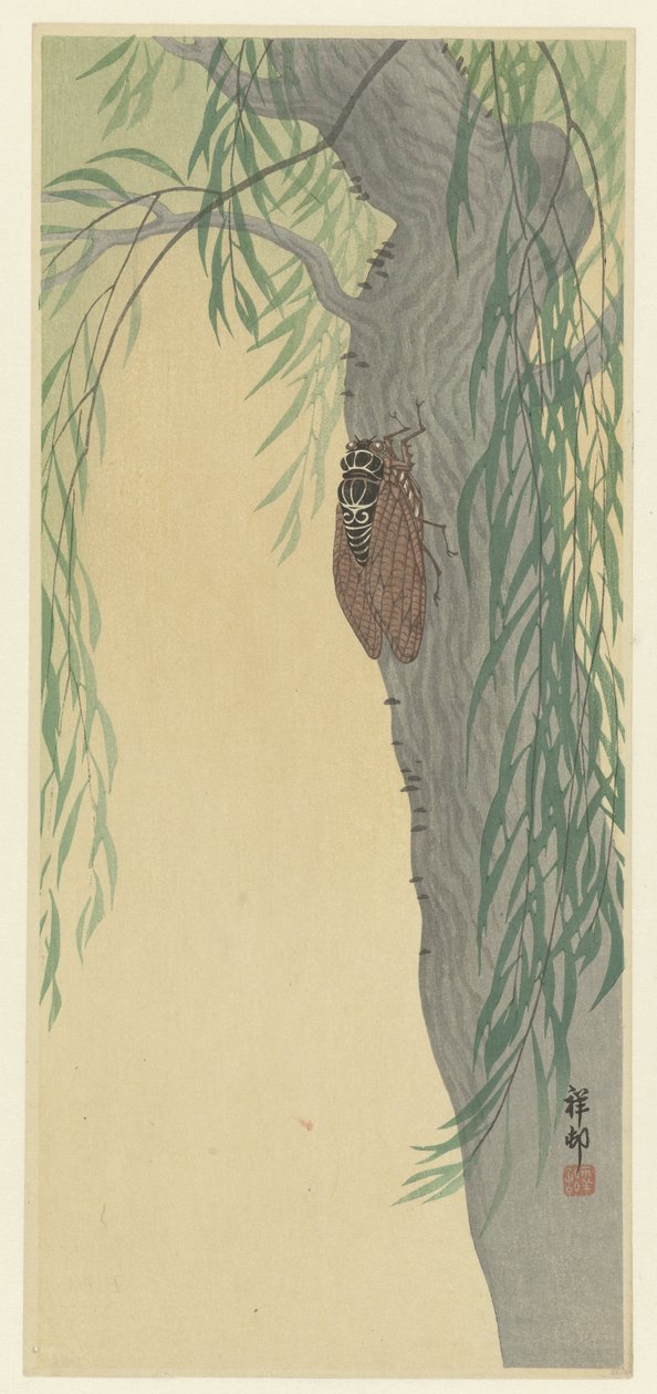 Cykada na drzewie autorstwa Ohara Koson
