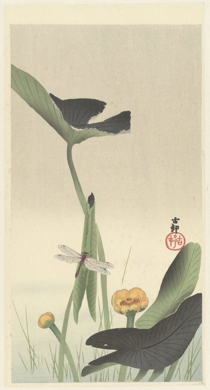 Sudenkorento ja lootuksenkukka, n.1900-30 (väripuupiirros)kiillotus autorstwa Ohara Koson