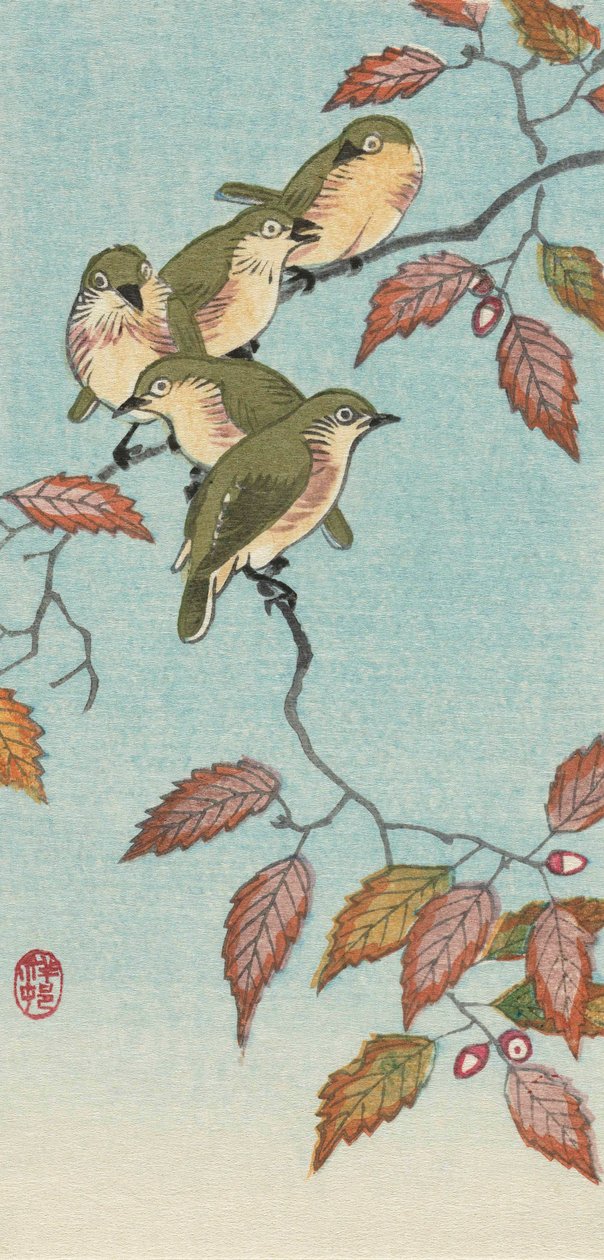 Pięć małych ptaków na gałązce autorstwa japońskiej artystki Ohary Koson autorstwa Ohara Koson
