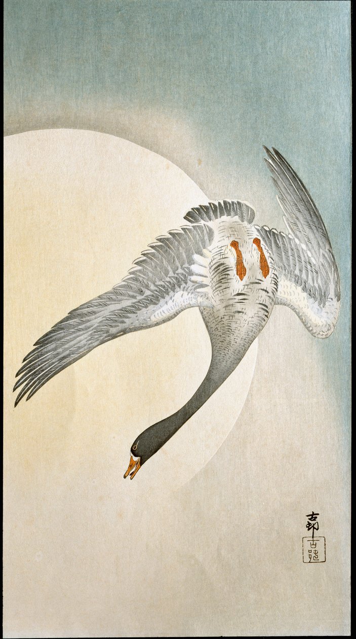 Lot kaczki w świetle księżyca Ksylografia i japońska grafika Ohara Koson (1877-1945) 1908 Kolekcja prywatna DR autorstwa Ohara Koson