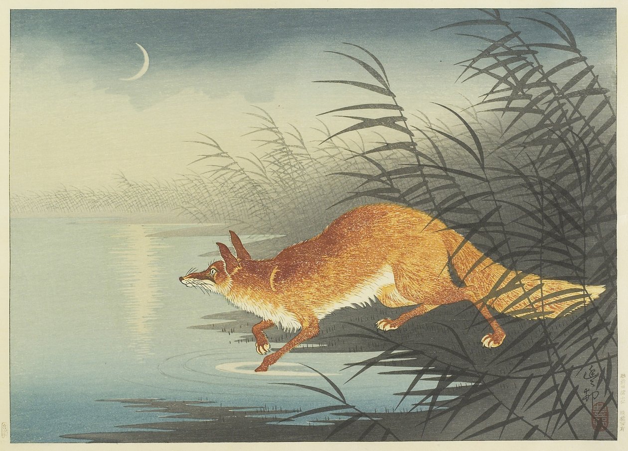 Fox by the Moonlit Water, lata 30. (kolorowy drzeworyt) autorstwa Ohara Koson