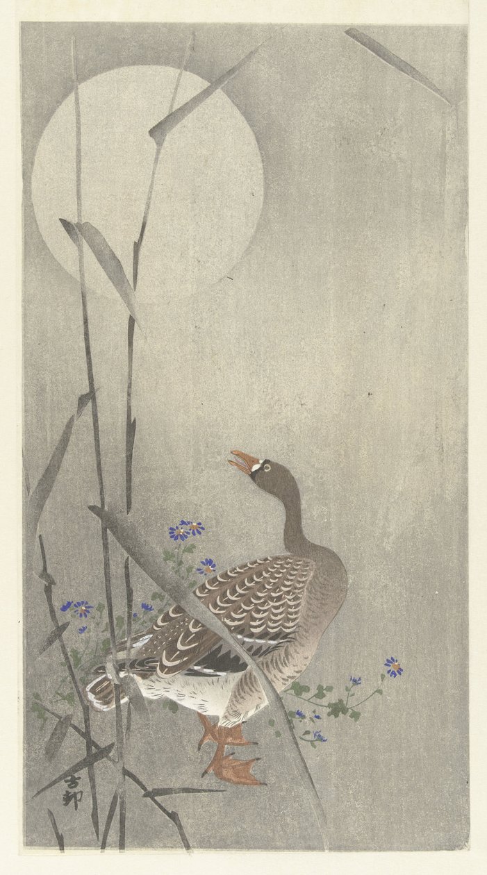 Gęś w pełni księżyca autorstwa Ohara Koson