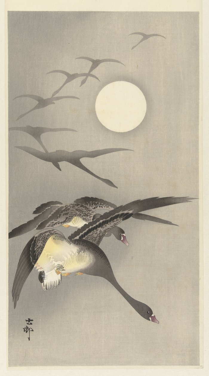 Gęsi w pełni księżyca autorstwa Ohara Koson