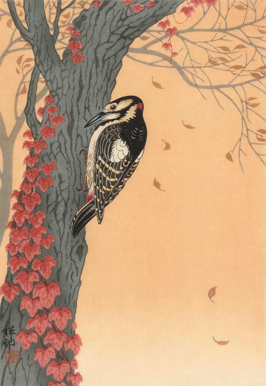 Dzięcioł duży na drzewie z czerwonym bluszczem, XX w. (druk japoński) autorstwa Ohara Koson