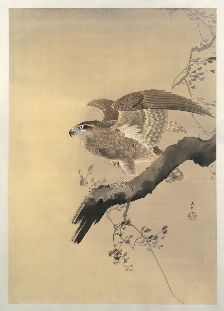 Jastrząb autorstwa Ohara Koson