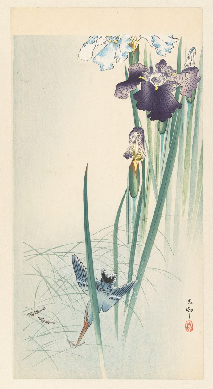 Zimorodek i irysy autorstwa Ohara Koson